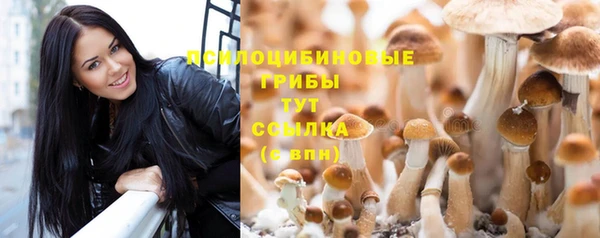синтетический гашиш Балахна