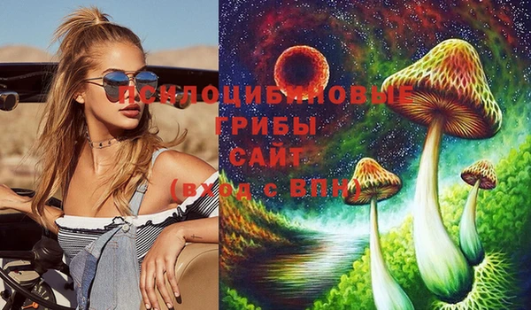 дживик Нязепетровск