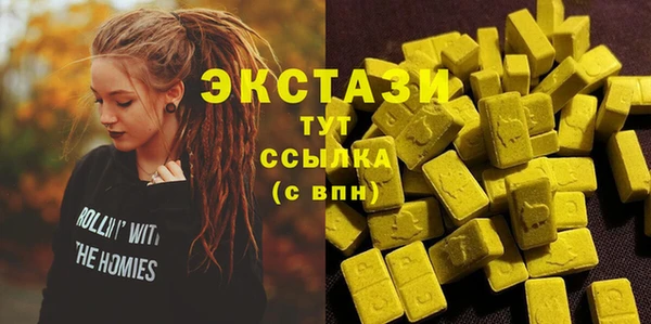 ECSTASY Няндома