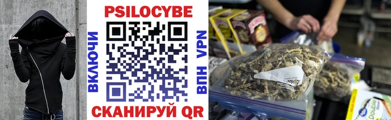 где найти наркотики  Старая Купавна  мега ссылка  Галлюциногенные грибы Cubensis 